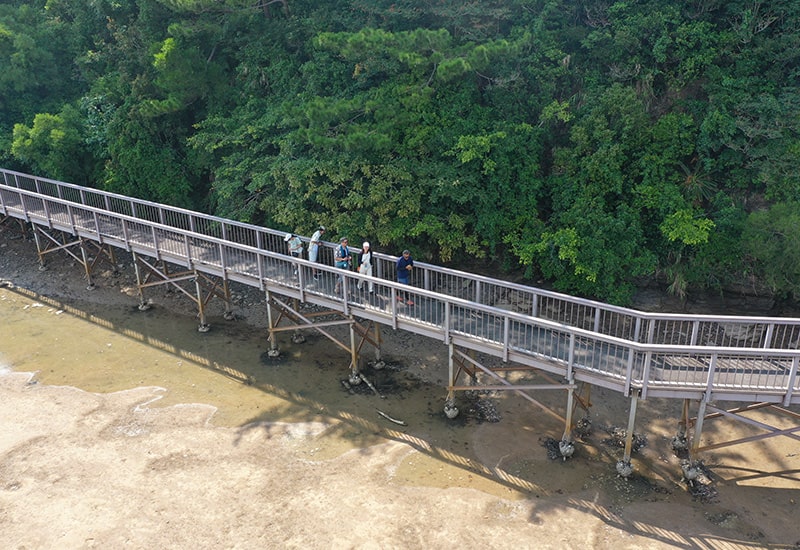 沖縄マングローブツアー