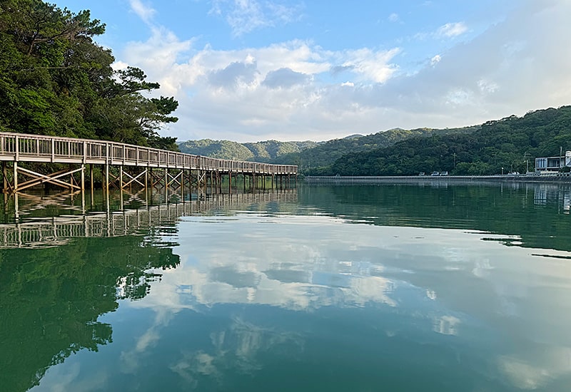 沖縄北部のマングローブツアー